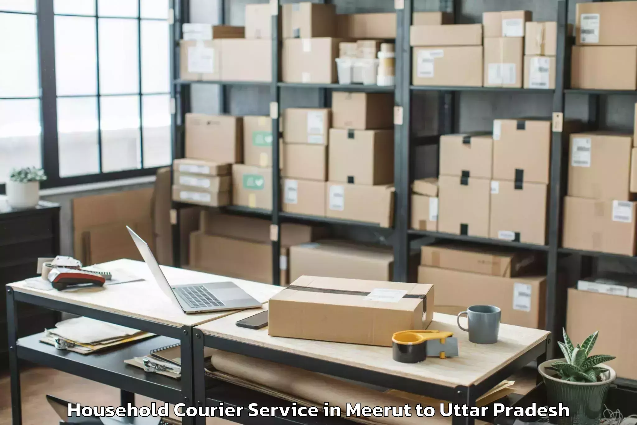 Professional Meerut to Mohanlalganj Household Courier